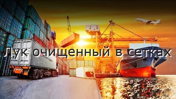 Лук очищенный в сетках